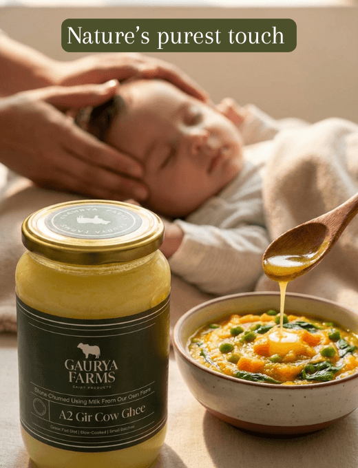 Traditional bilona process — pouring milk into clay pots